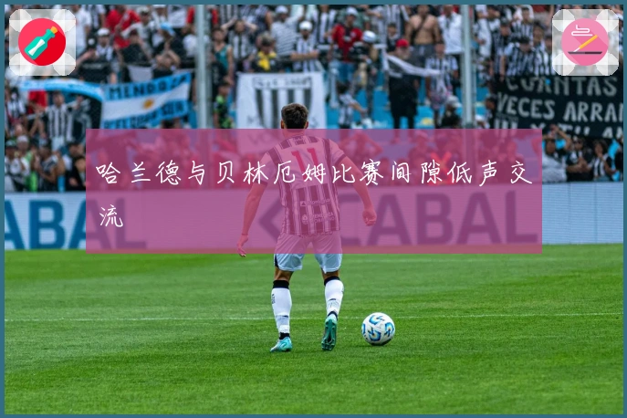 哈兰德与贝林厄姆比赛间隙低声交流