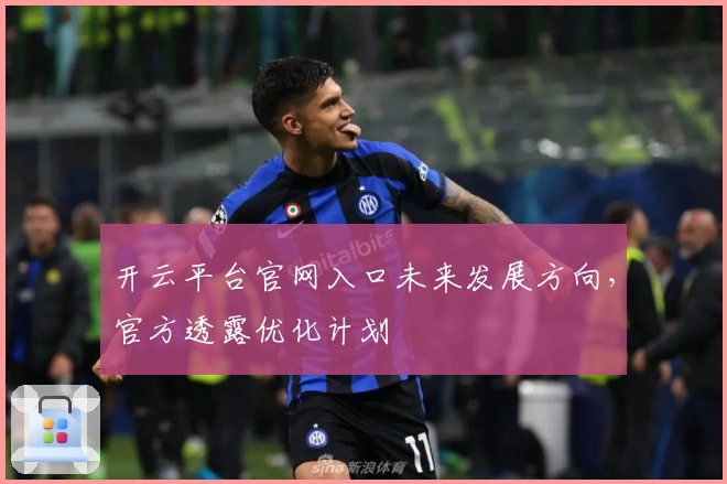 开云平台官网入口未来发展方向，官方透露优化计划