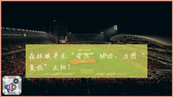 森林狼寻求“奇兵”助力，力图“复仇”太阳！