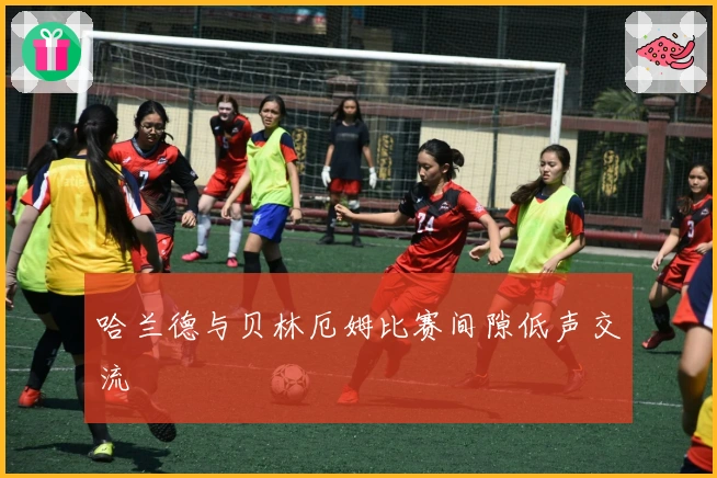 哈兰德与贝林厄姆比赛间隙低声交流