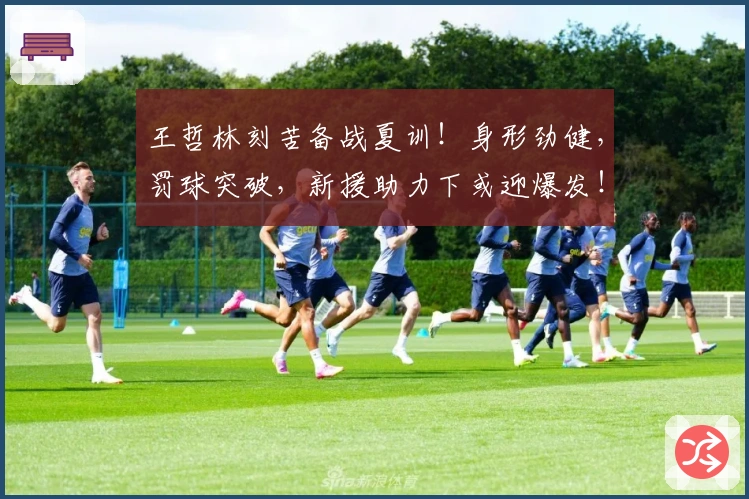 王哲林刻苦备战夏训！身形劲健，罚球突破，新援助力下或迎爆发！